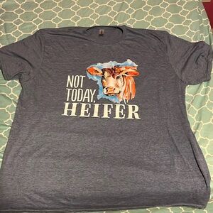 A 2XL GILDAN brand T-shirt. No stains, never worn, and in great shape!